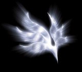 BUMP OF CHICKEN - orbital period