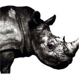 Mr.Children - Mr.Children 1992-1995