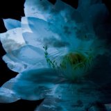 ??? - LUNA SEA MEMORIAL COVER ALBUM -Re:birth-