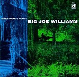 Big Joe Williams - Piney Woods Blues