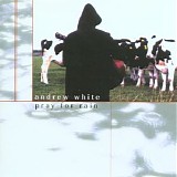 Andrew White - Pray for Rain