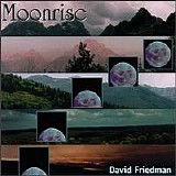 Friedman David - Moonrise