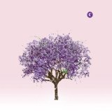 Eels - Tomorrow Morning - Cd 1