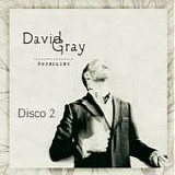 David Gray - Foundling (Disco 2)
