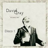 David Gray - Foundling (Disco 1)