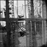 McCartney, Paul - Chaos And Creation In The Backyard