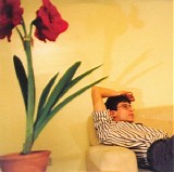 Lambchop - Rainer On My Parade