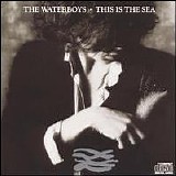 Waterboys, The - This Is The Sea - Remastered