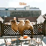 Wilco - Wilco (The Album)