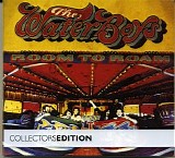 Waterboys, The - Room To Roam (Collector's Edition)