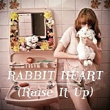 Florence And The Machine - Rabbit Heart - CDs