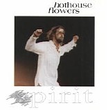 Hothouse Flowers - Spirit - Live In London 1991