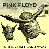 Pink Floyd - In The Grassland Away
