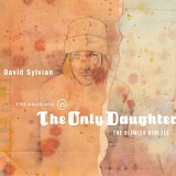 Sylvian, David - The Good Son Vs. The Only Daughter: Blemish Remixes