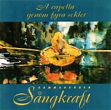 KammarkÃ¶ren SÃ¥ngkraft - A capella genom fyra sekler