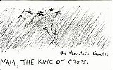 The Mountain Goats - Yam, The King of Crops
