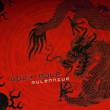 Gov't Mule - Mulennium