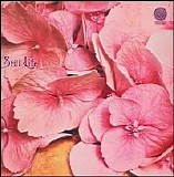 Still Life - Still Life
