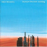 Edie Brickell - Picture Perfect Morning