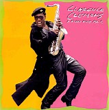 Clarence Clemons - A Night With Mr. C
