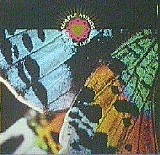 Simple Minds - See The Lights