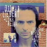 Ottmar Liebert - The hours between night & day