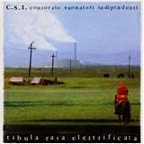 C.S.I. Consorzio Suonatori Indipendenti - Tabula rasa elettrificata