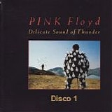 Pink Floyd - Delicate sound of thunder (Disco 1)