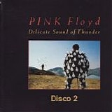 Pink Floyd - Delicate sound of thunder (Disco 2)