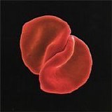 Peter Gabriel - Scratch my back