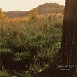 Andrew Bird - Noble beast