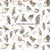 Edwyn Collins - Losing sleep