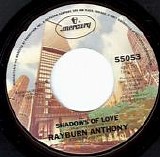 Rayburn Anthony - Shadows Of Love/Fire In The Night (US)