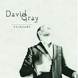 David Gray - Foundling  CD2