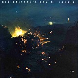 Nik BÃ¤rtsch's Ronin - LlyrÃ¬a