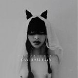 David Sylvian - Sleepwalkers