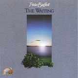 Peter Buffett - The Waiting