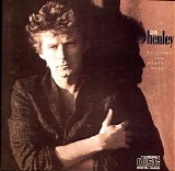 Don Henley - Building the Perfect Beast
