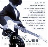 Various artists - Big Blues: Blues Music for Kids