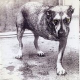 Alice in Chains - Alice in Chains