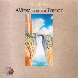 Carol Nethen - A View from the Bridge