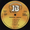 Scientist - The Best Dub Album In The World (Introducing Scientist) (JB Music)