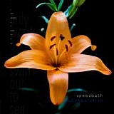 Kristin Hersh - Speedbath (Crooked Demos)