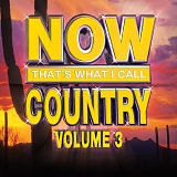 Various artists - George Strait