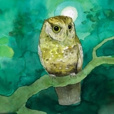 Sleeping at Last - Storyboards