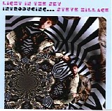Steve Hillage - Light In The Sky: Introducing...  Steve Hillage