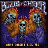 Blue Cheer - What Doesn't Kill You...