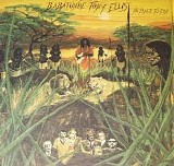 Babatunde Tony Ellis - No Place To Run
