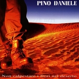 Pino Daniele - Non Calpestare I Fiori Nel Deserto