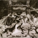 Satyricon - Dark Medieval Times